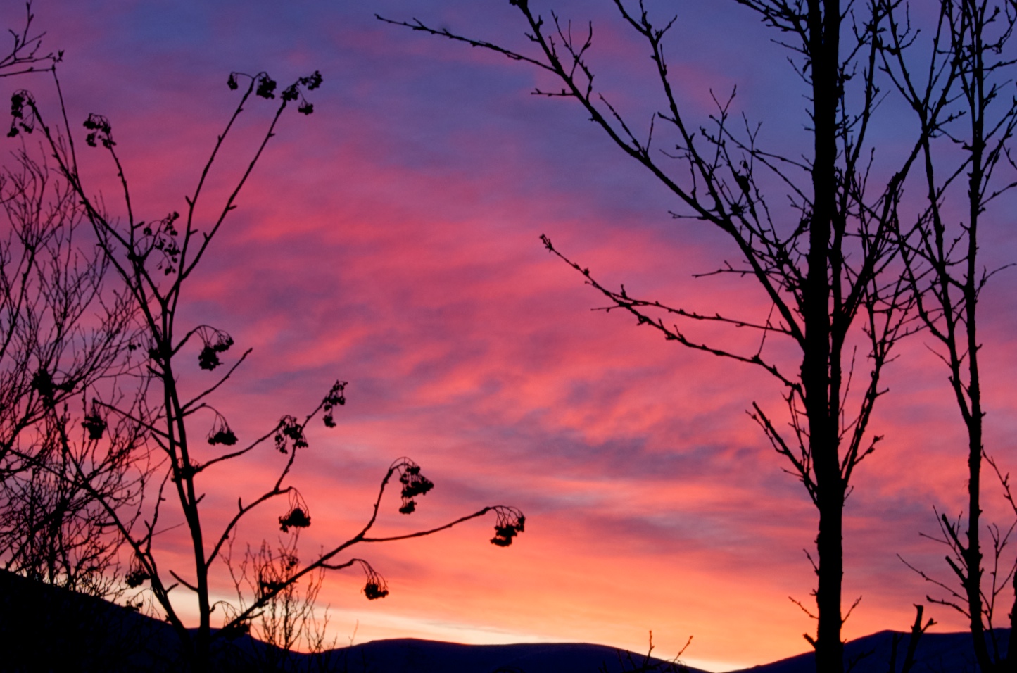 Tromso Sky moning 23thDec